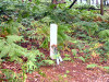 Memorial