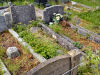 Grave