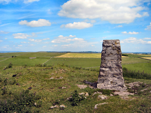 View east