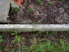 Inscription