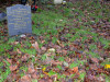 Grave