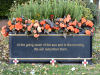 Right planter