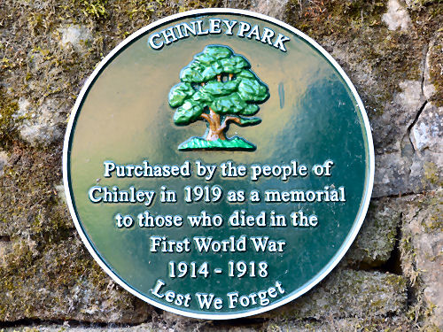 Plaque