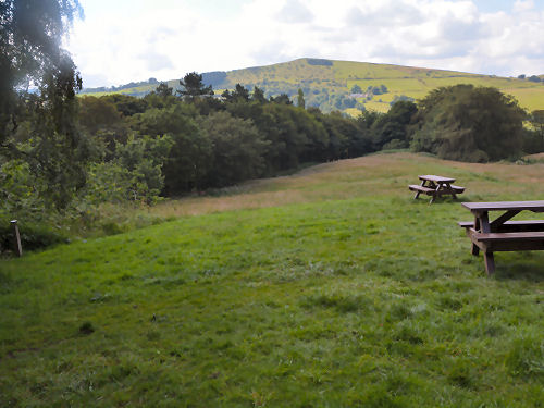 Picnic