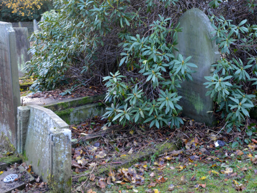 Grave