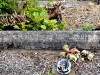 Inscription
