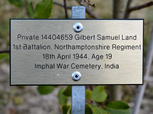 Plaque